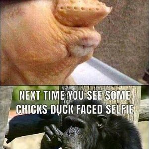 Meet your Posher, Joseph